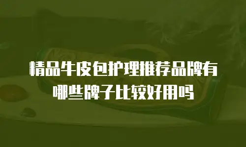 精品牛皮包护理推荐品牌有哪些牌子比较好用吗