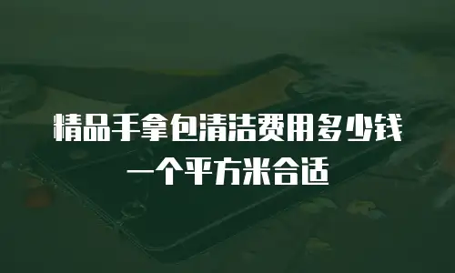 精品手拿包清洁费用多少钱一个平方米合适