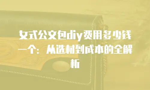 女式公文包diy费用多少钱一个：从选材到成本的全解析