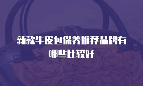 新款牛皮包保养推荐品牌有哪些比较好
