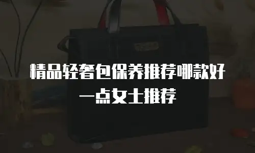 精品轻奢包保养推荐哪款好一点女士推荐