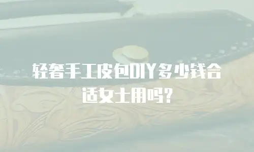 轻奢手工皮包DIY多少钱合适女士用吗？