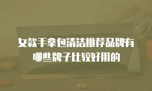 女款手拿包清洁推荐品牌有哪些牌子比较好用的