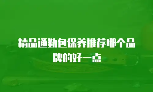 精品通勤包保养推荐哪个品牌的好一点