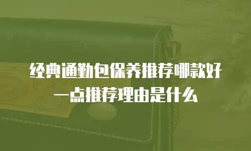 经典通勤包保养推荐哪款好一点推荐理由是什么