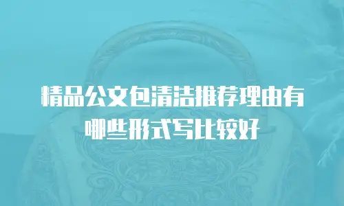 精品公文包清洁推荐理由有哪些形式写比较好