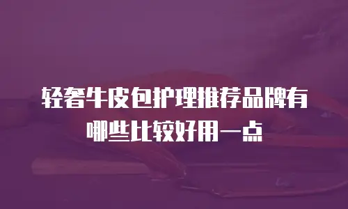 轻奢牛皮包护理推荐品牌有哪些比较好用一点