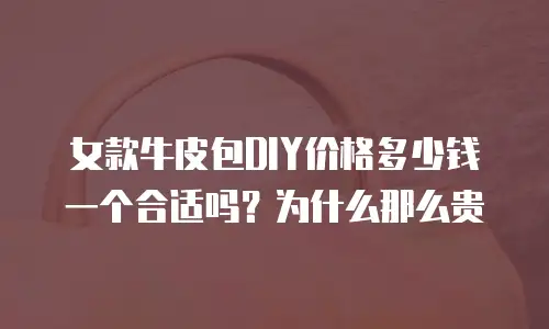 女款牛皮包DIY价格多少钱一个合适吗？为什么那么贵