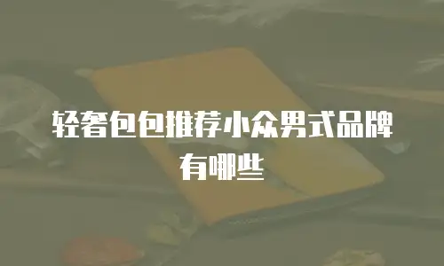 轻奢包包推荐小众男式品牌有哪些