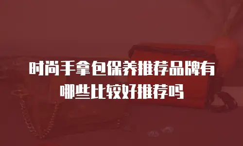 时尚手拿包保养推荐品牌有哪些比较好推荐吗