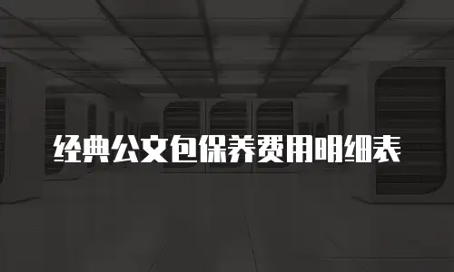经典公文包保养费用明细表