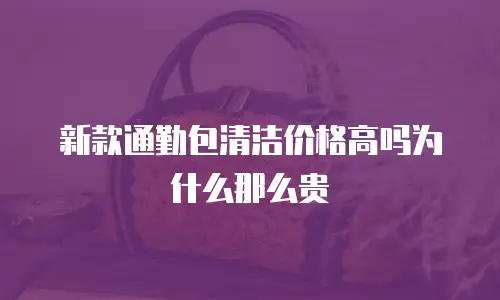 新款通勤包清洁价格高吗为什么那么贵