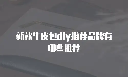 新款牛皮包diy推荐品牌有哪些推荐