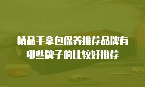 精品手拿包保养推荐品牌有哪些牌子的比较好推荐