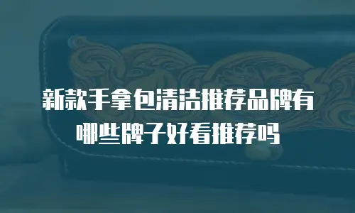 新款手拿包清洁推荐品牌有哪些牌子好看推荐吗