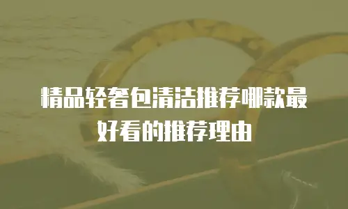 精品轻奢包清洁推荐哪款最好看的推荐理由