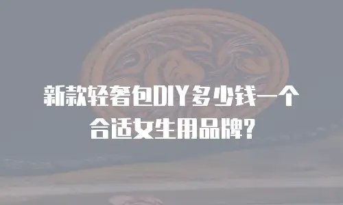 新款轻奢包DIY多少钱一个合适女生用品牌？