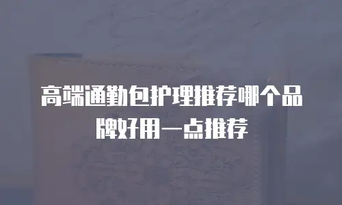 高端通勤包护理推荐哪个品牌好用一点推荐
