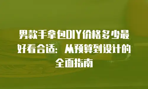 男款手拿包DIY价格多少最好看合适：从预算到设计的全面指南
