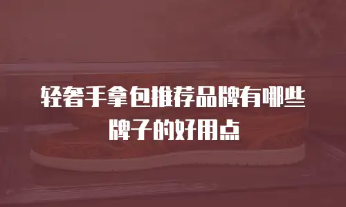 轻奢手拿包推荐品牌有哪些牌子的好用点