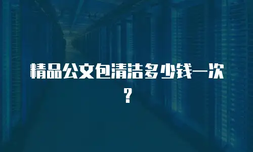 精品公文包清洁多少钱一次？