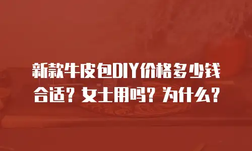 新款牛皮包DIY价格多少钱合适？女士用吗？为什么？