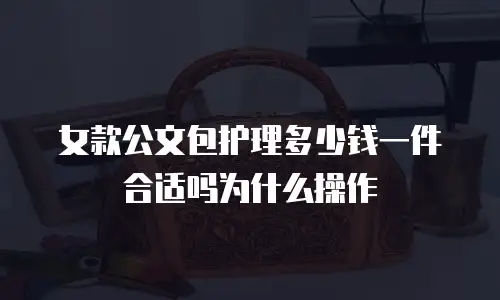 女款公文包护理多少钱一件合适吗为什么操作