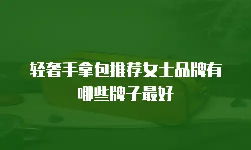 轻奢手拿包推荐女士品牌有哪些牌子最好