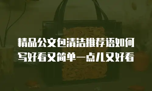 精品公文包清洁推荐语如何写好看又简单一点儿又好看