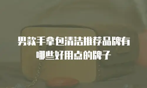 男款手拿包清洁推荐品牌有哪些好用点的牌子