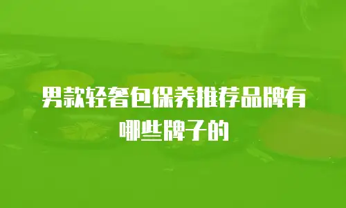 男款轻奢包保养推荐品牌有哪些牌子的