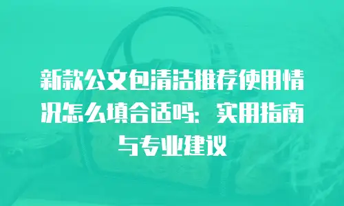 新款公文包清洁推荐使用情况怎么填合适吗：实用指南与专业建议