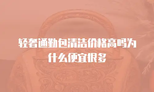 轻奢通勤包清洁价格高吗为什么便宜很多