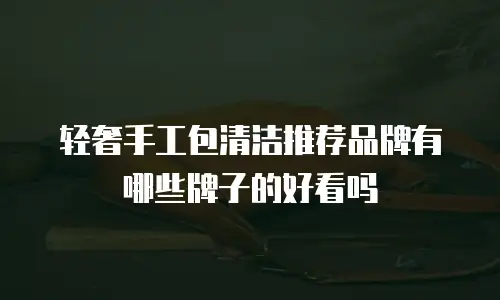 轻奢手工包清洁推荐品牌有哪些牌子的好看吗