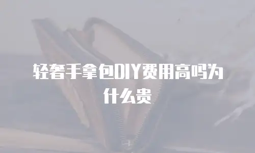 轻奢手拿包DIY费用高吗为什么贵