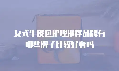 女式牛皮包护理推荐品牌有哪些牌子比较好看吗