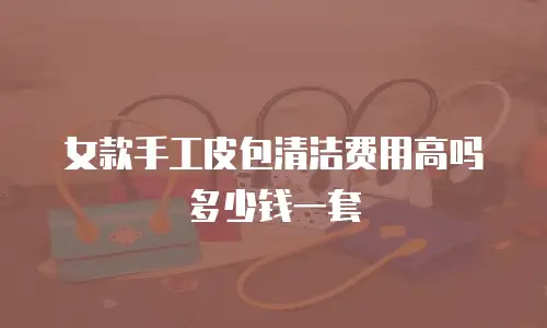 女款手工皮包清洁费用高吗多少钱一套