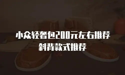 小众轻奢包200元左右推荐斜背款式推荐