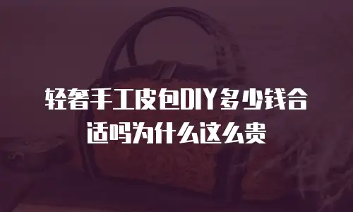 轻奢手工皮包DIY多少钱合适吗为什么这么贵