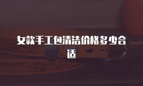 女款手工包清洁价格多少合适