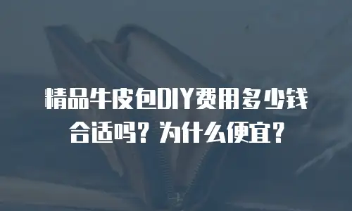 精品牛皮包DIY费用多少钱合适吗？为什么便宜？