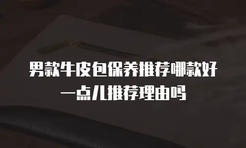 男款牛皮包保养推荐哪款好一点儿推荐理由吗