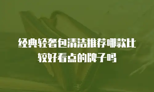 经典轻奢包清洁推荐哪款比较好看点的牌子吗
