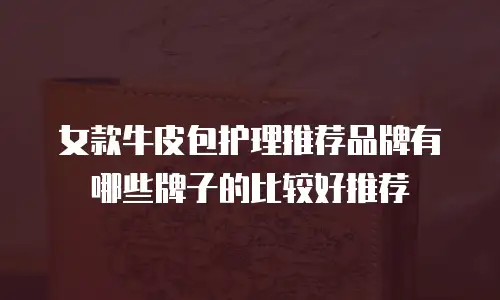 女款牛皮包护理推荐品牌有哪些牌子的比较好推荐
