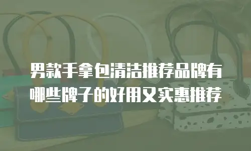 男款手拿包清洁推荐品牌有哪些牌子的好用又实惠推荐
