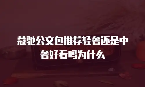 蔻驰公文包推荐轻奢还是中奢好看吗为什么