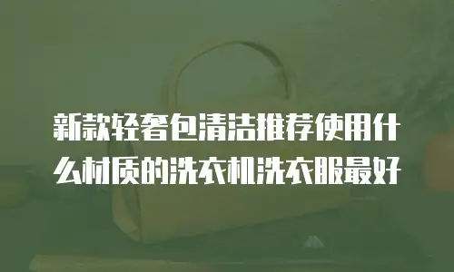 新款轻奢包清洁推荐使用什么材质的洗衣机洗衣服最好