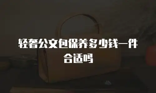 轻奢公文包保养多少钱一件合适吗