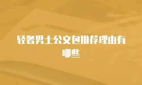 轻奢男士公文包推荐理由有哪些