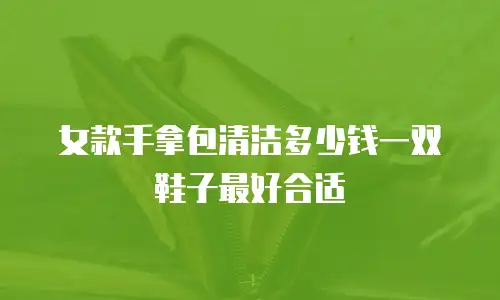 女款手拿包清洁多少钱一双鞋子最好合适